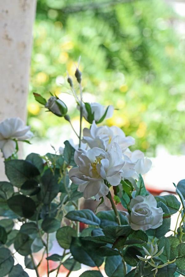 Beautiful Studio In Traditional Afytos Halkidiki-Uvc Sterilized エクステリア 写真